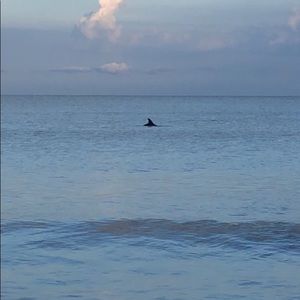 Meet your Posher, Parker